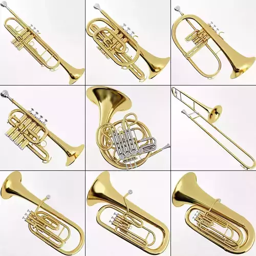 Brass Musical Instrument Collection 3D model