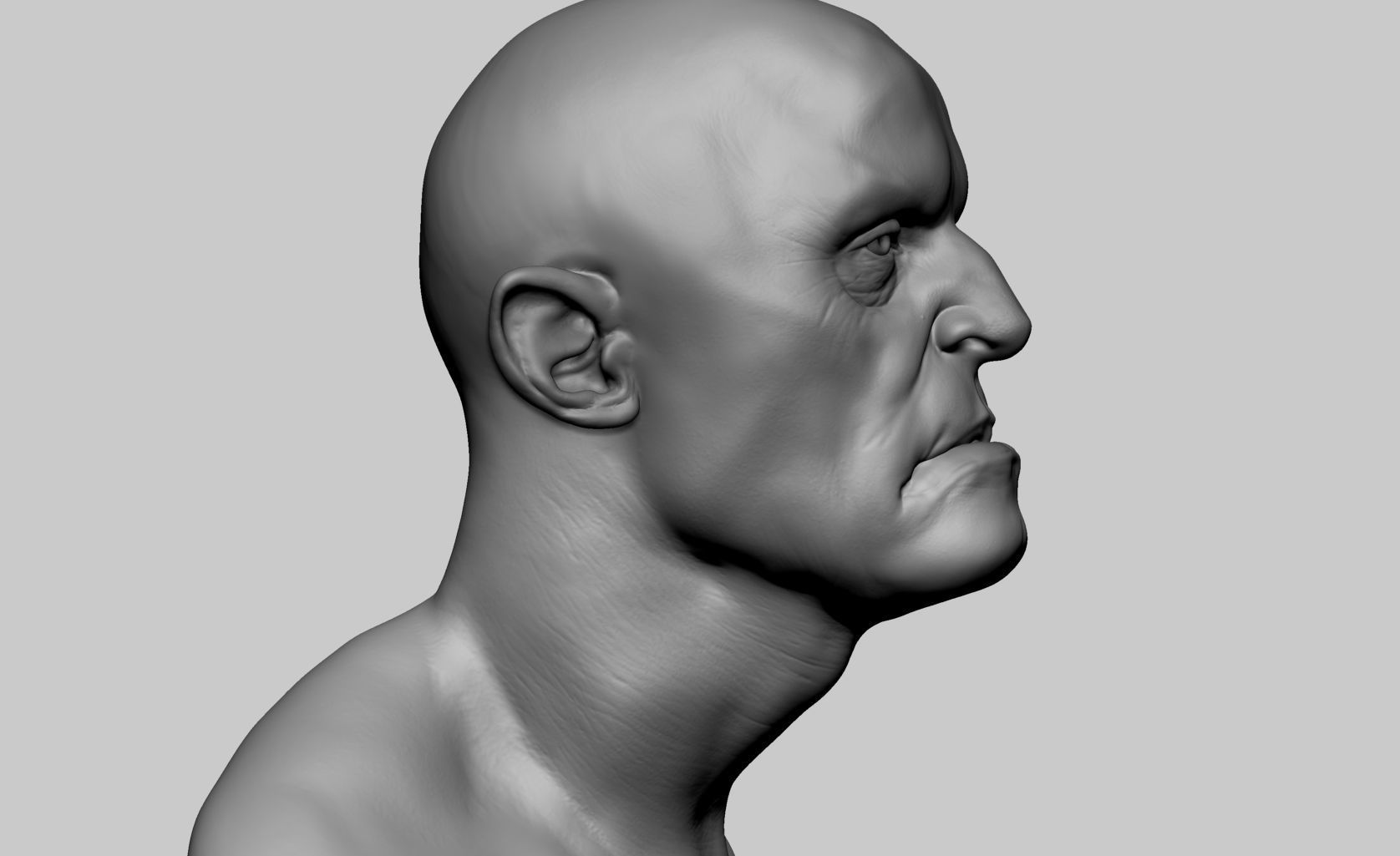 Fantasy Creature Head v5 3D model_1