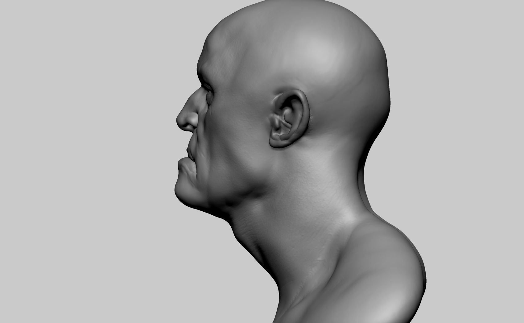 Fantasy Creature Head v5 3D model_4