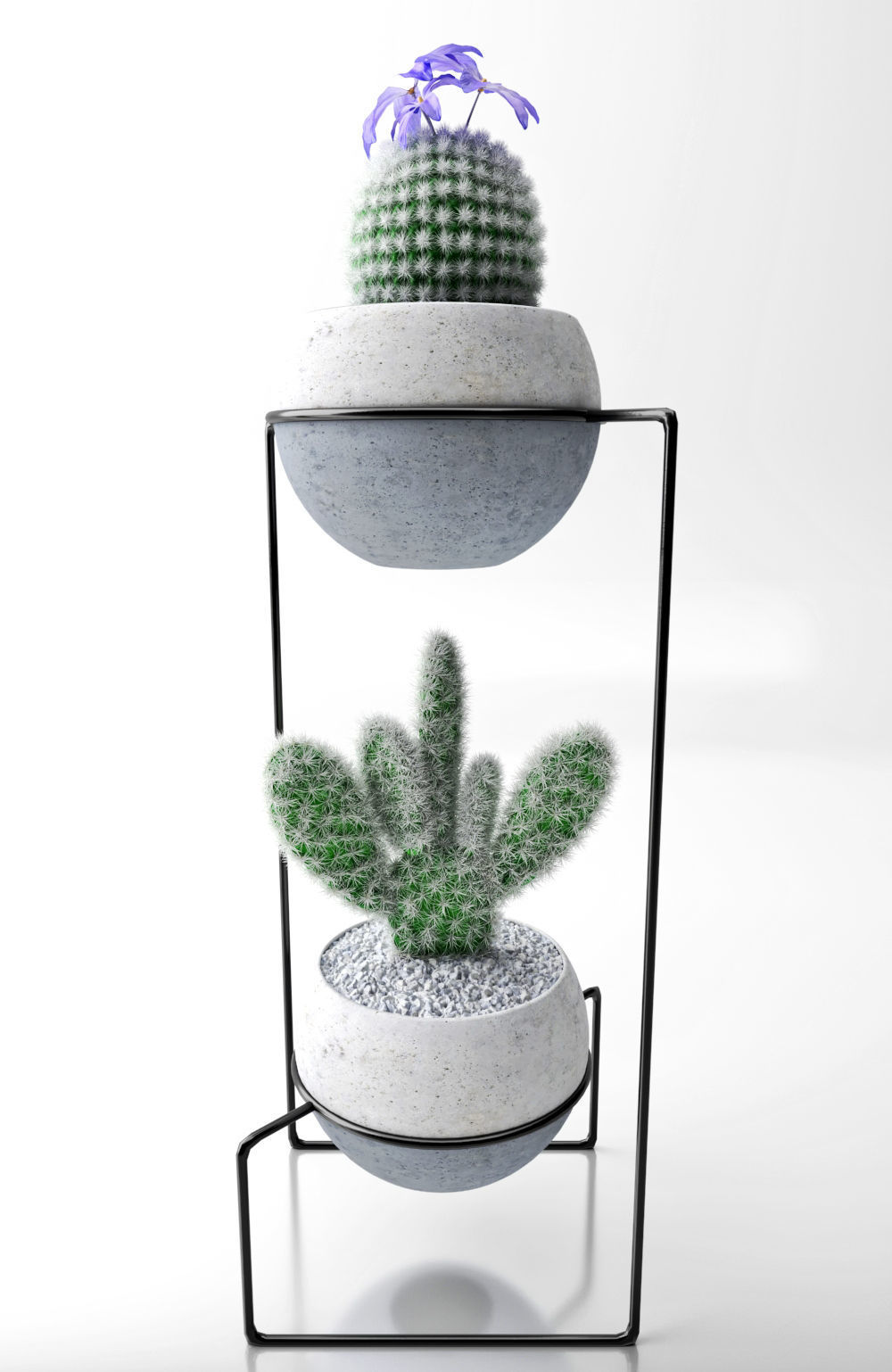 cactus collection plant stand 3D model_1