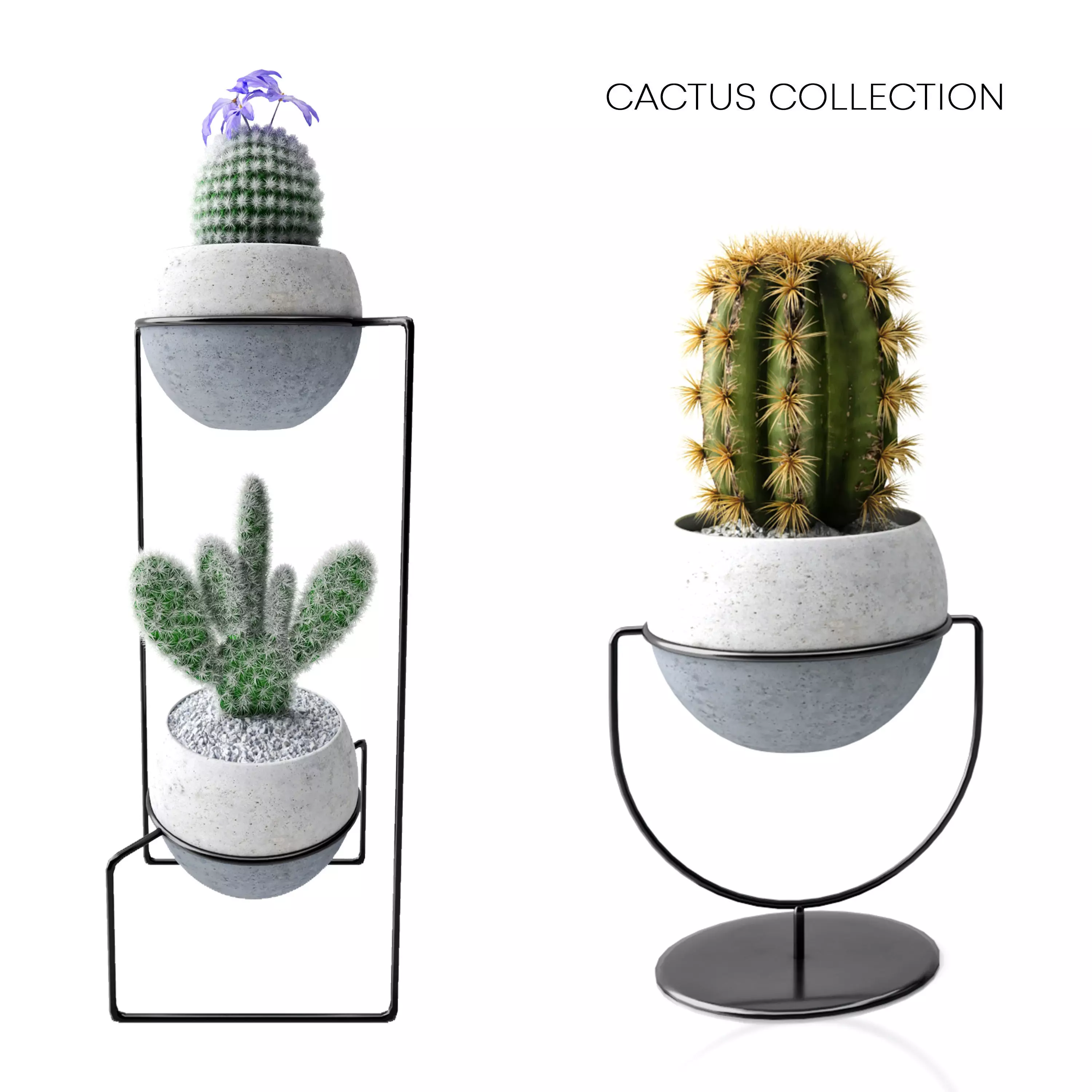 cactus collection plant stand 3D model_0