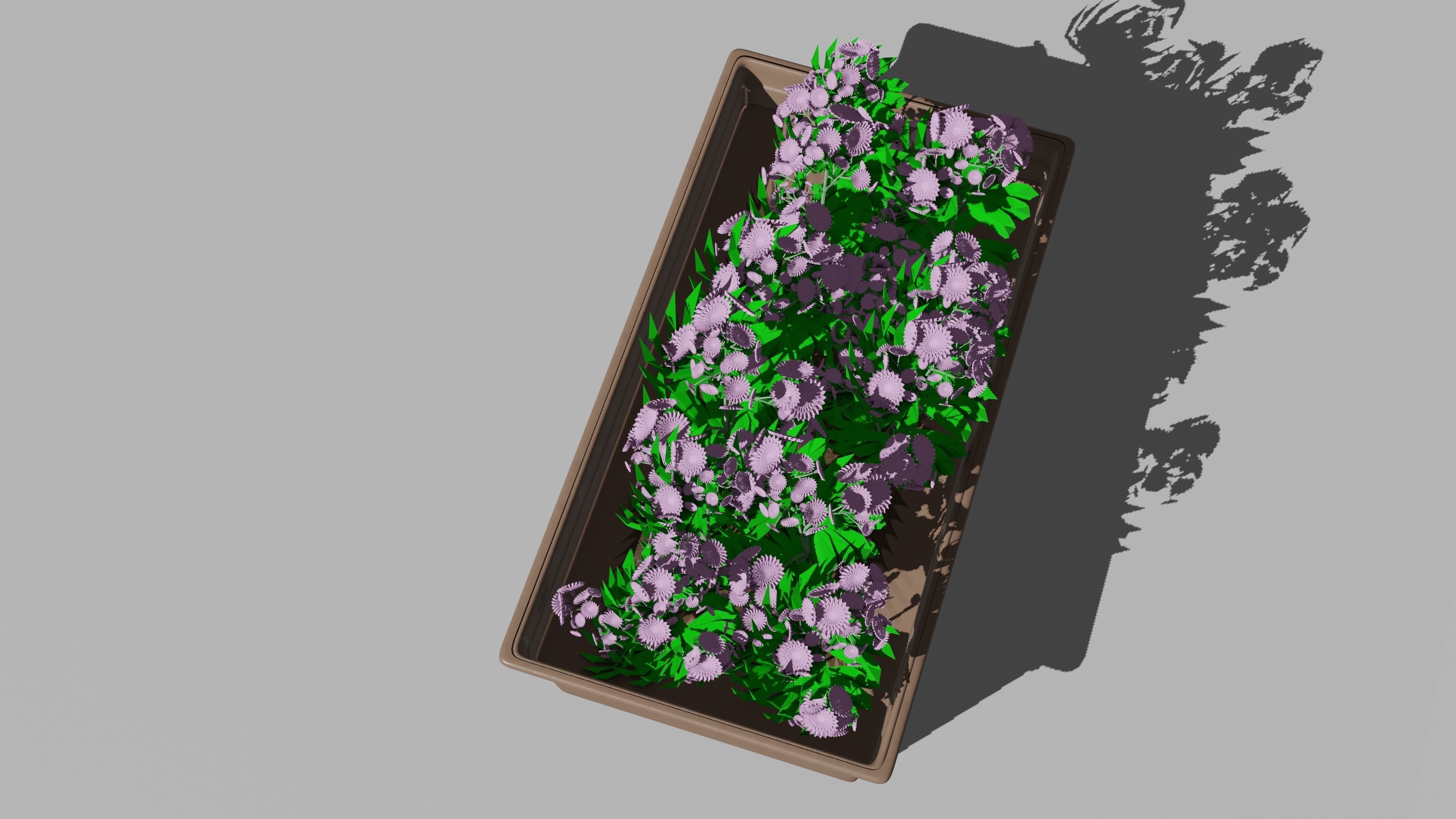 Flowers In Pot 3D model_3