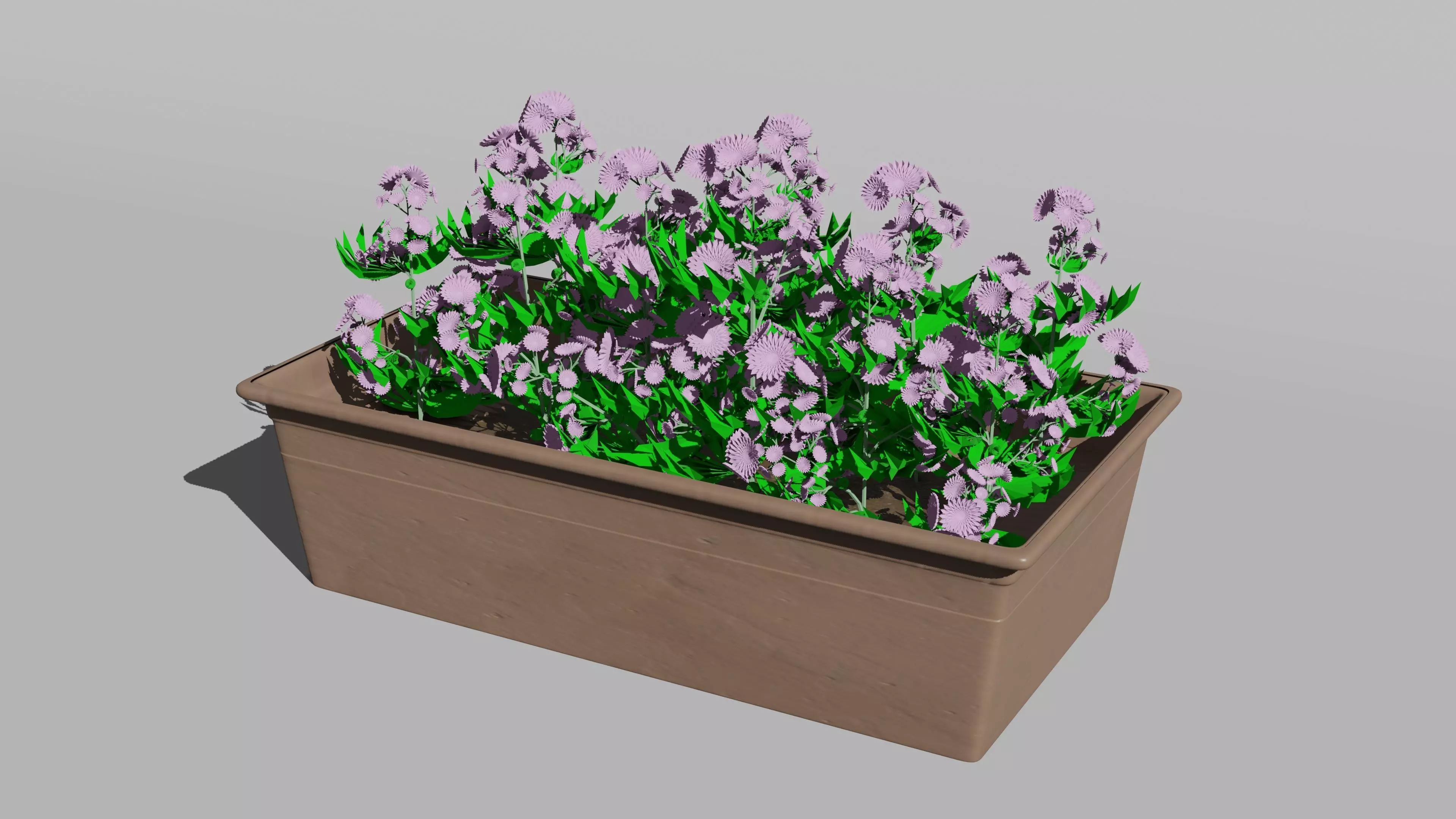 Flowers In Pot 3D model_0