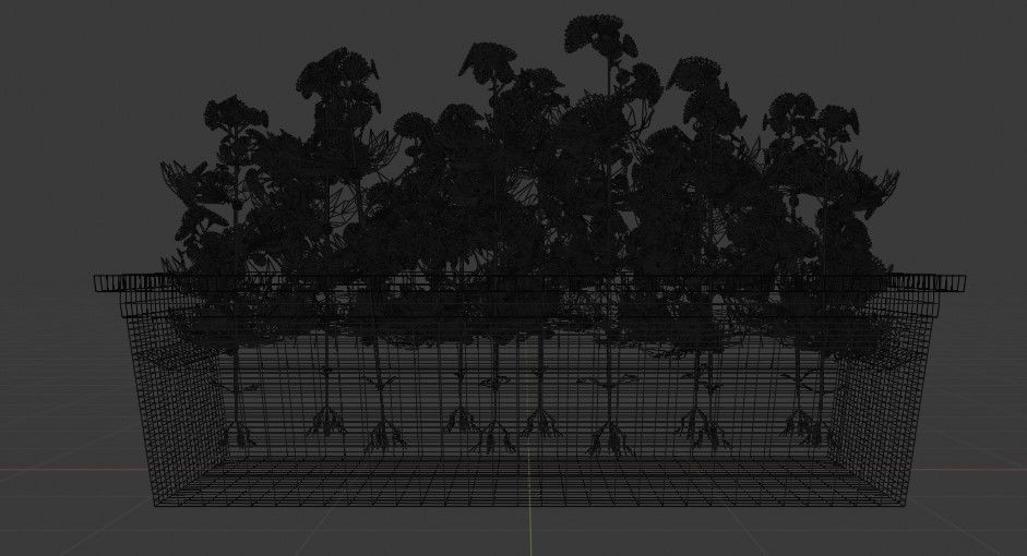 Flowers In Pot 3D model_6