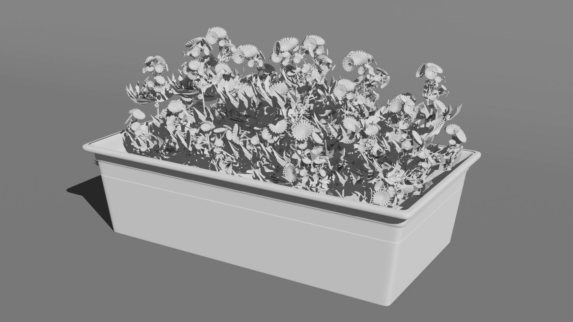 Flowers In Pot 3D model_5