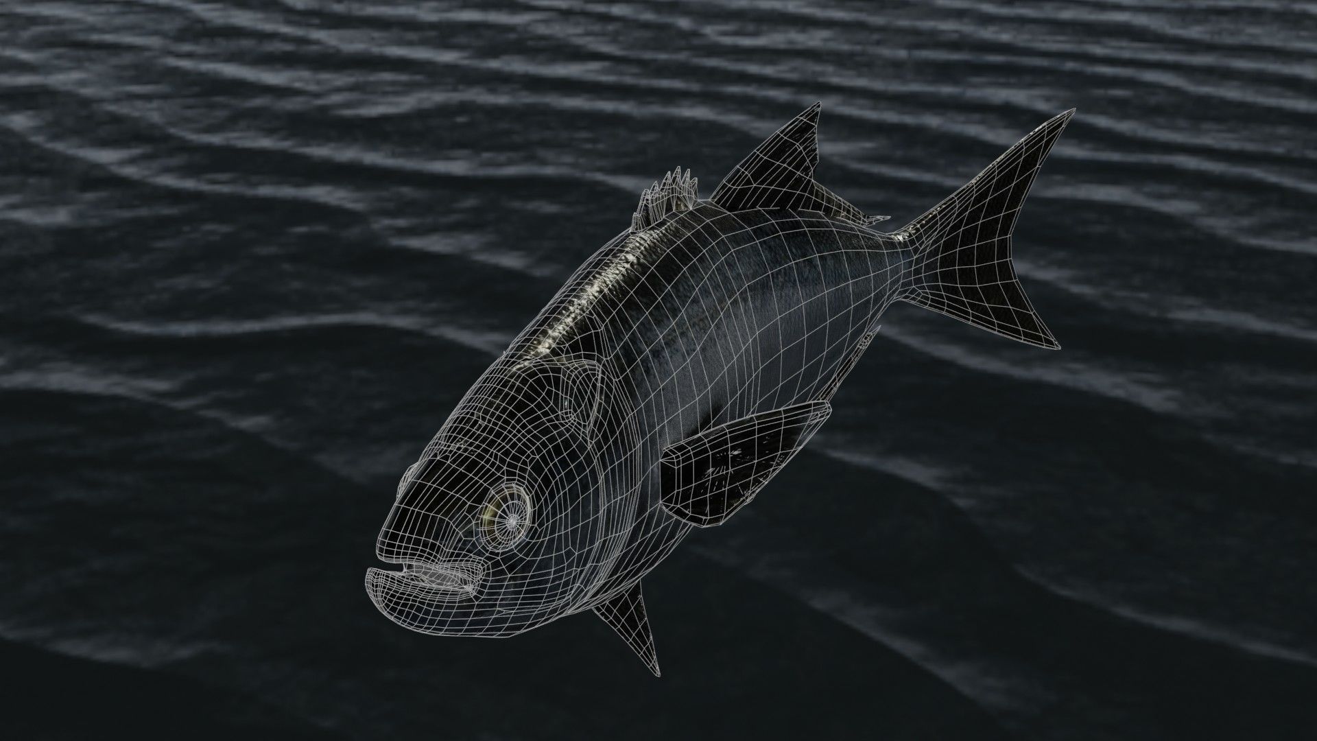 Tailor fish Free low-poly 3D model_8