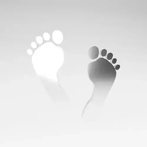 Foot Prints v1 005