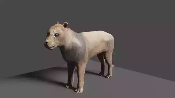 lion 3d