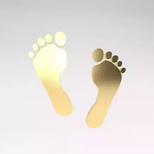 Foot Prints v1 006