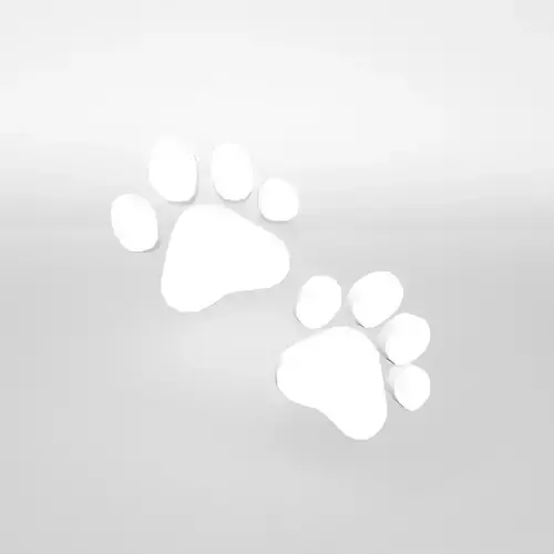 Paw Prints v1 002