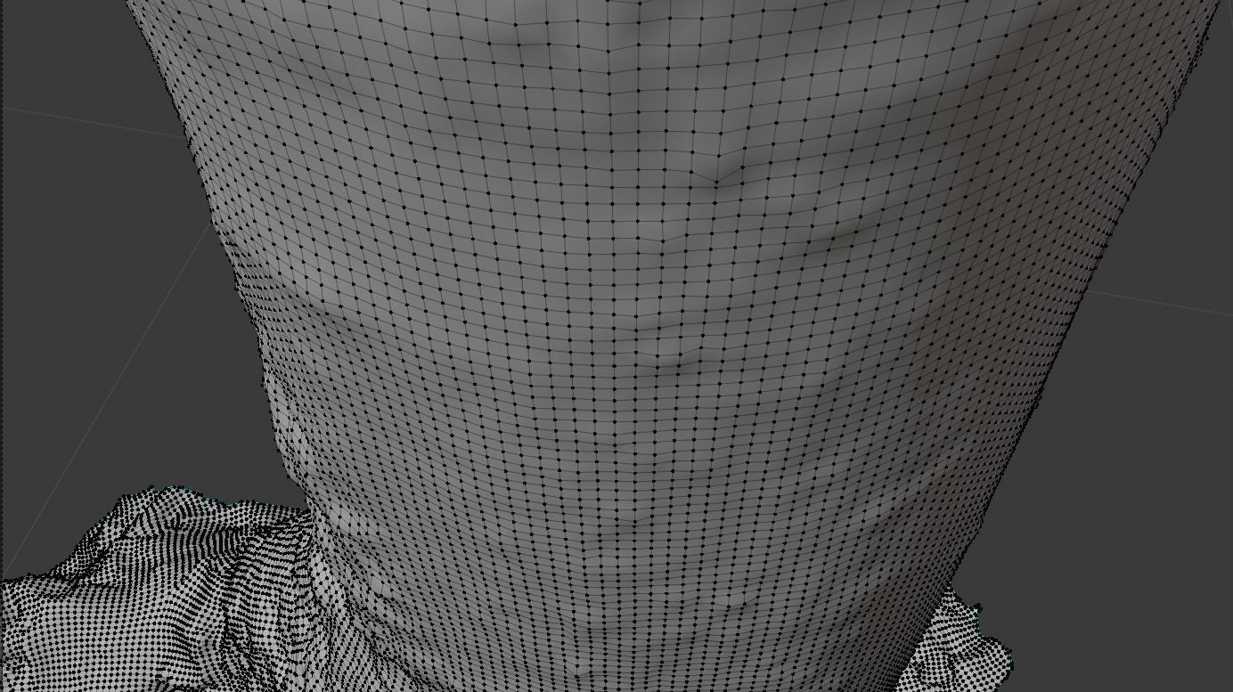 Mossy Beech Tree Trunk Low-poly 3D model_22