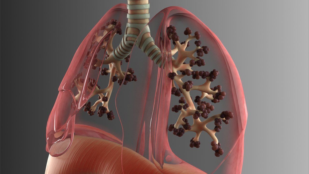 Lungs Animated 3D model_5