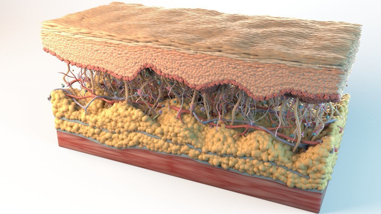 Skin Cancer Cells 3D model_4
