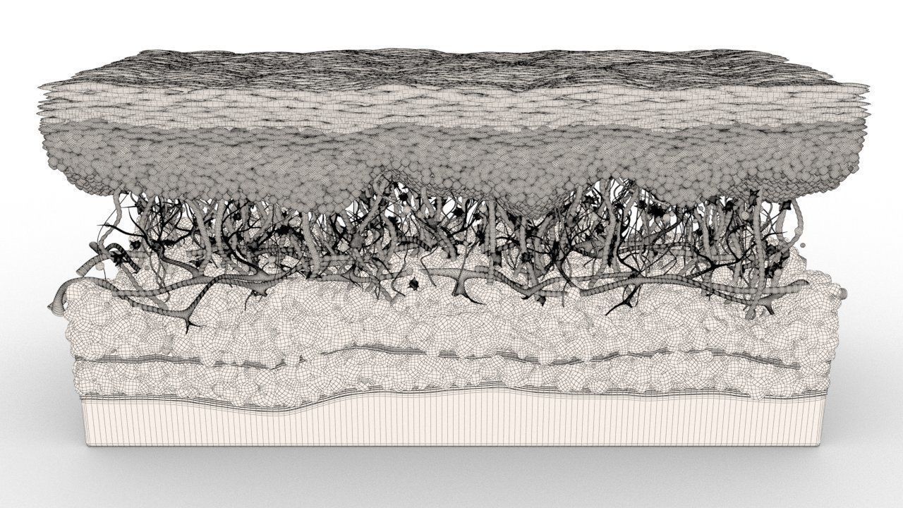 Skin Cancer Cells 3D model_21