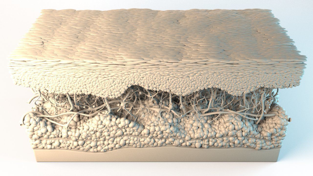 Skin Cancer Cells 3D model_26