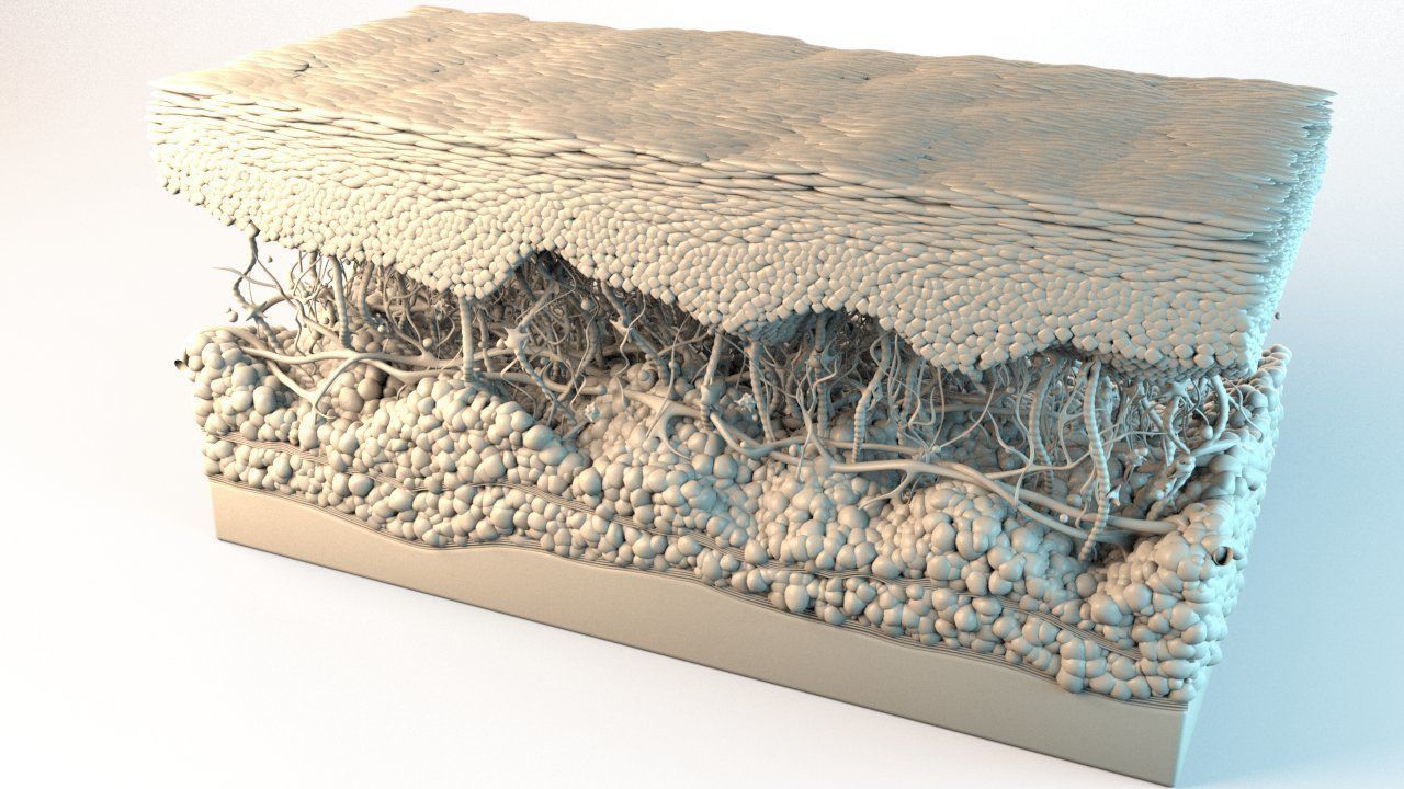 Skin Cancer Cells 3D model_19