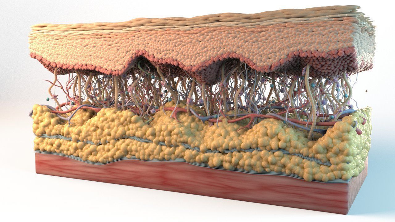 Skin Cancer Cells 3D model_7