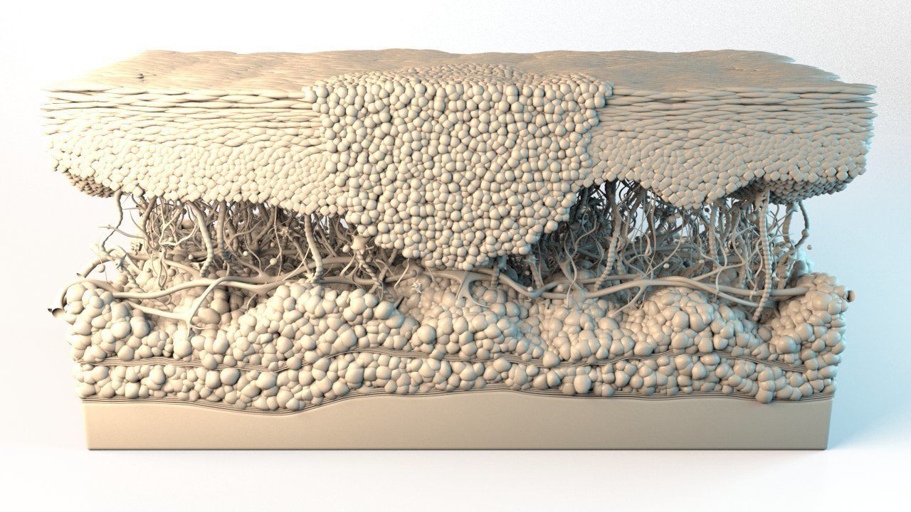 Skin Cancer Cells 3D model_10