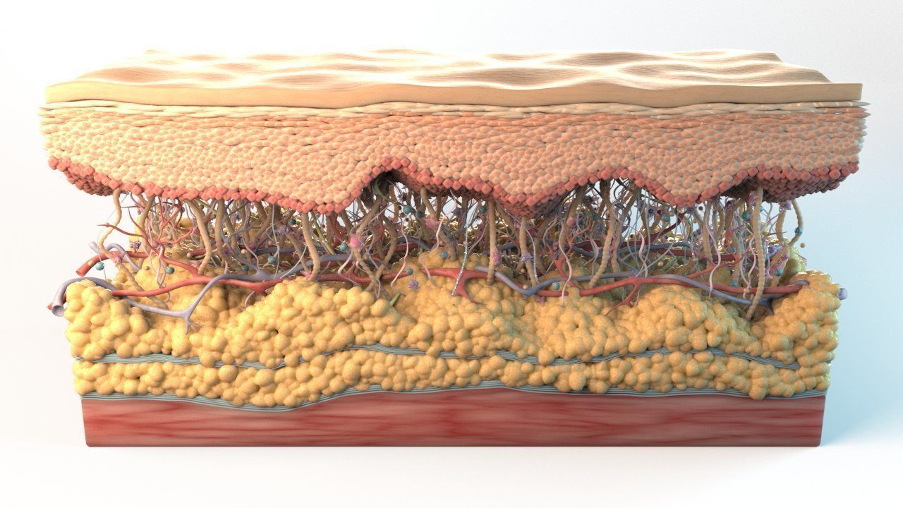 Skin Cancer Cells 3D model_6