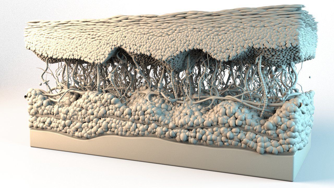 Skin Cancer Cells 3D model_20