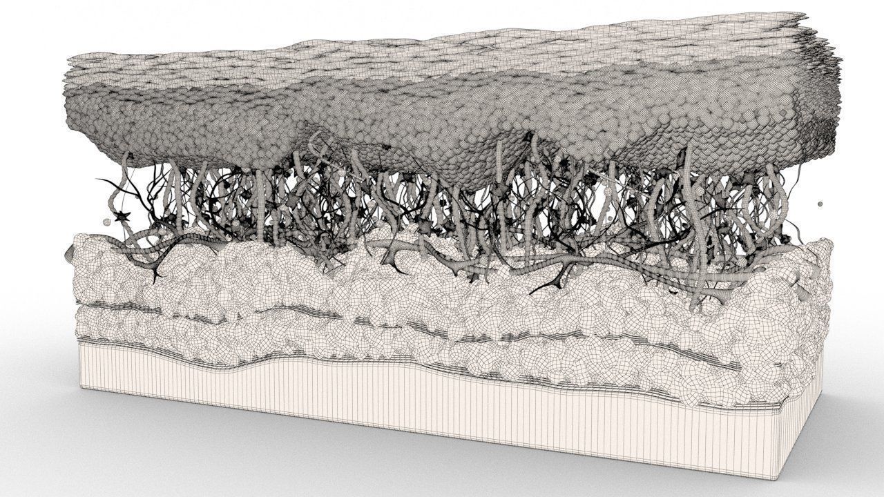 Skin Cancer Cells 3D model_28