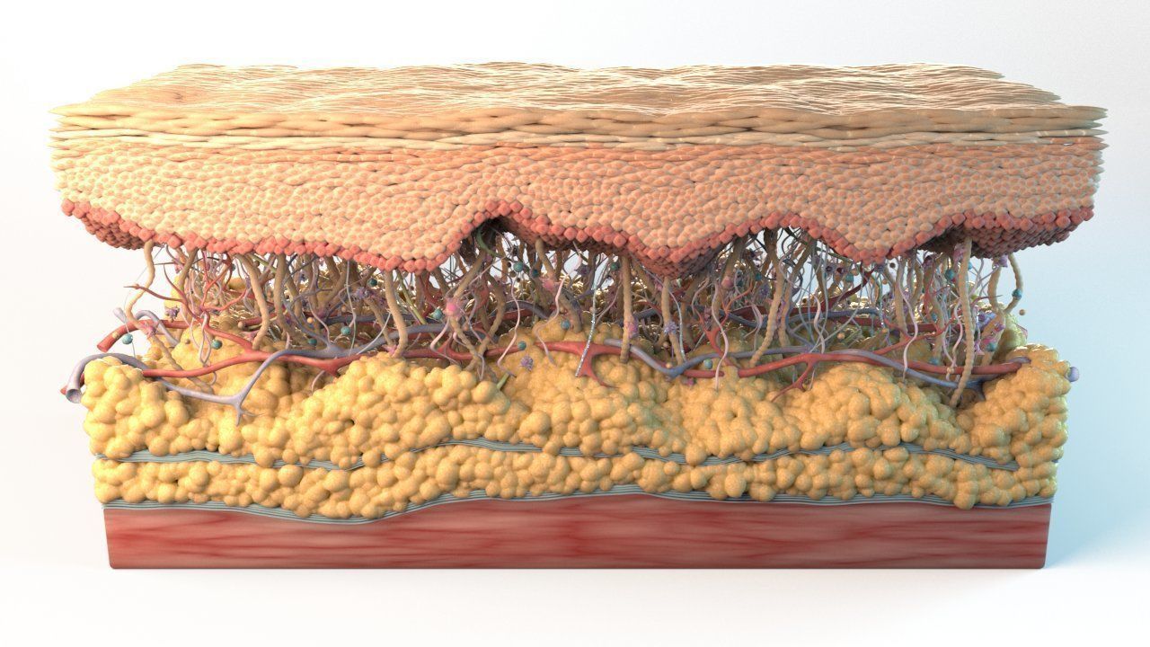 Skin Cancer Cells 3D model_8