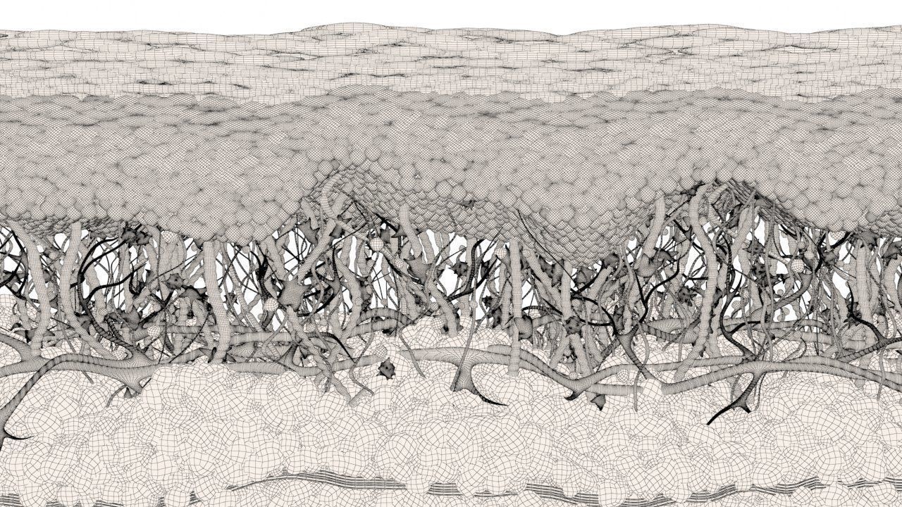 Skin Cancer Cells 3D model_27