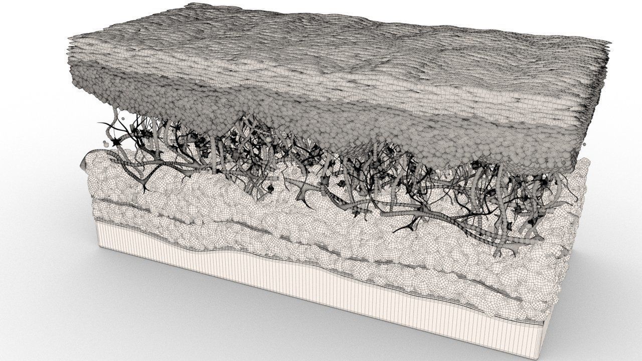 Skin Cancer Cells 3D model_25