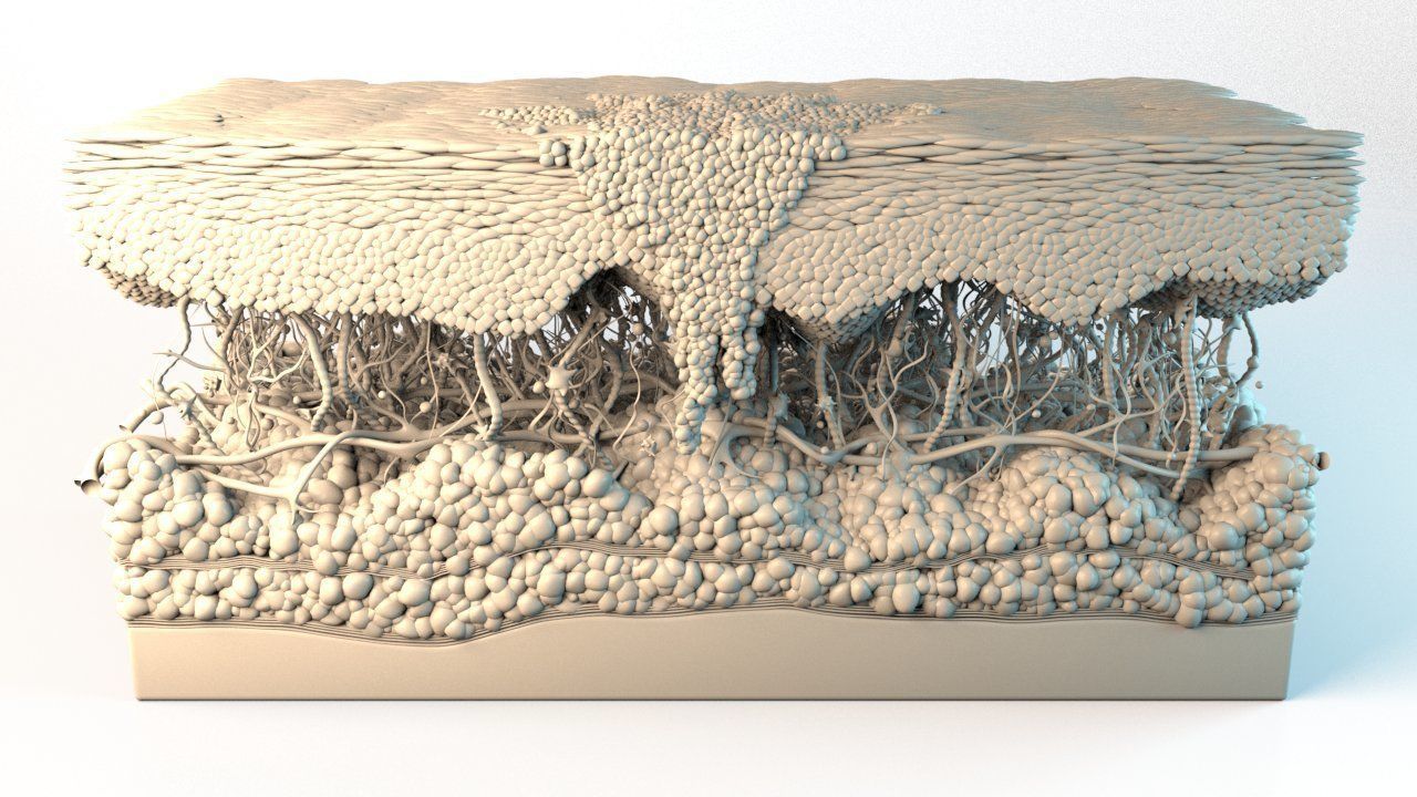 Skin Cancer Cells 3D model_17