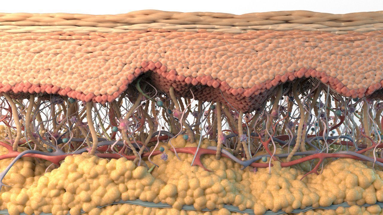 Skin Cancer Cells 3D model_9
