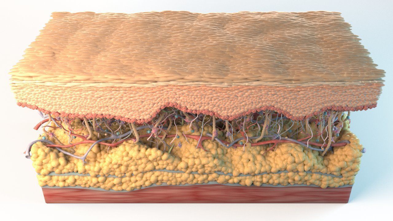 Skin Cancer Cells 3D model_5