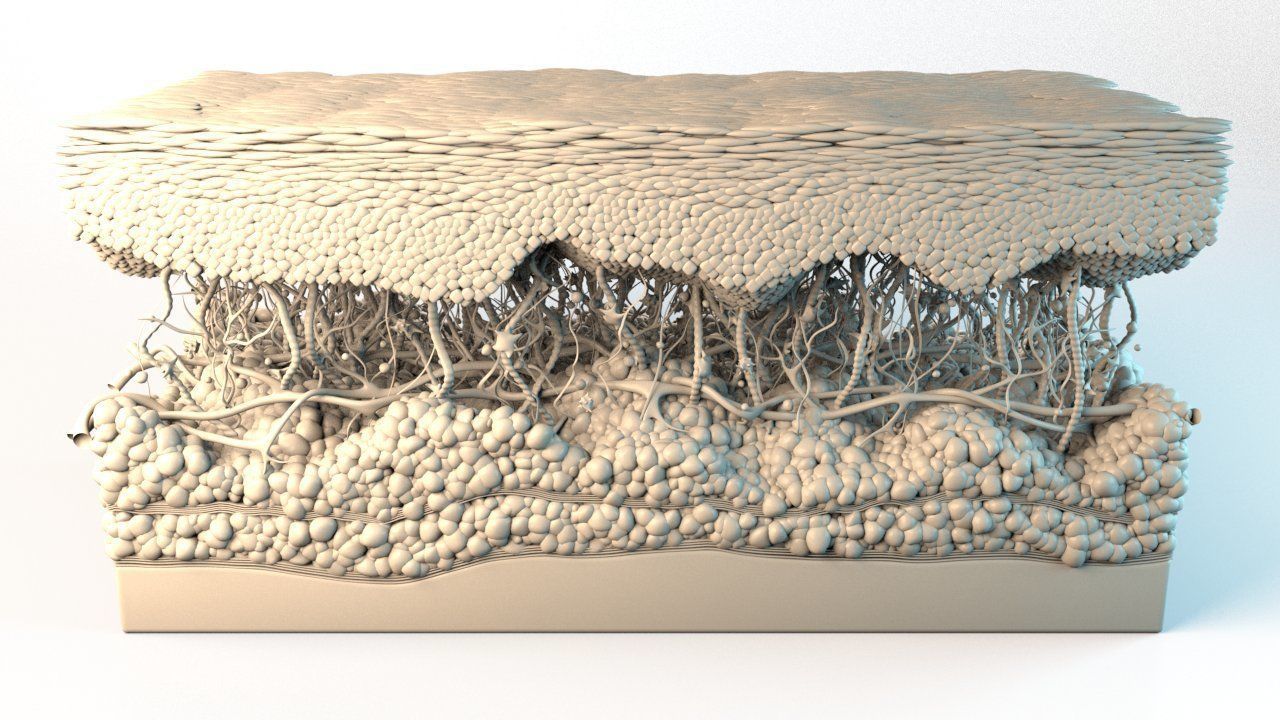 Skin Cancer Cells 3D model_23