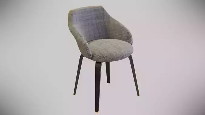 Modern-Chair dining chair