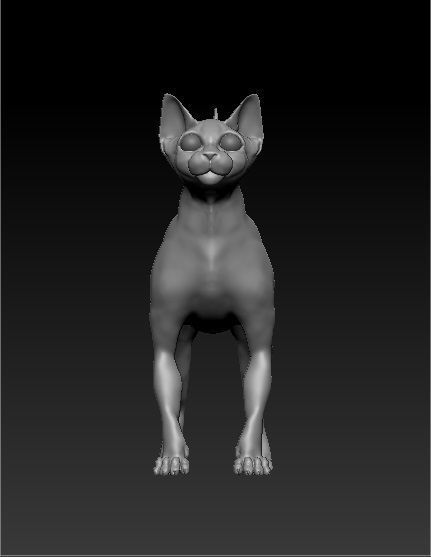 sphinx cat