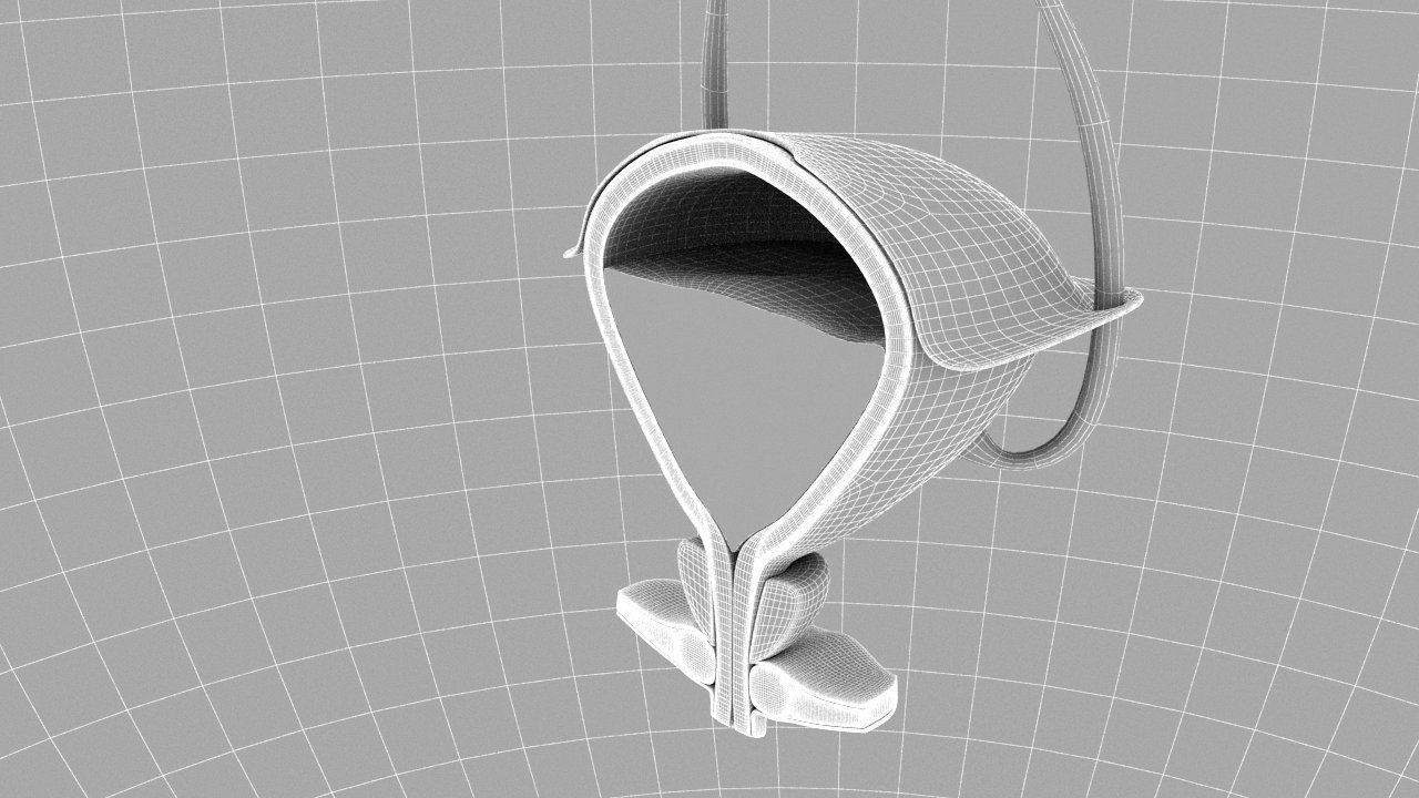 Bladder Cross Section 3D model_17