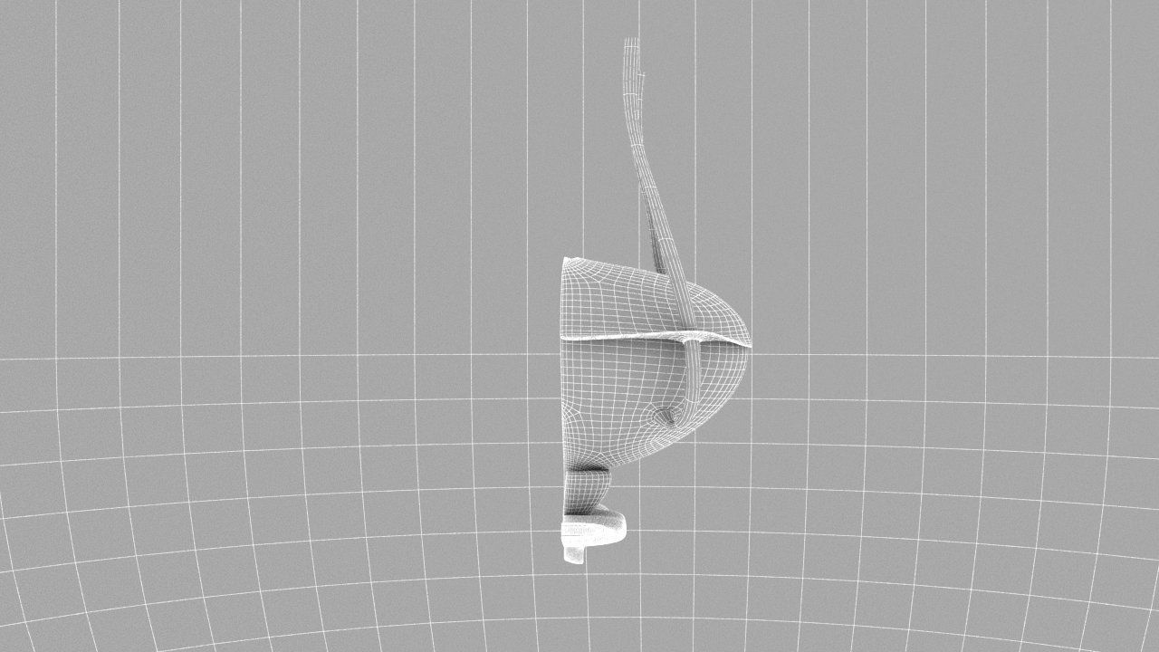 Bladder Cross Section 3D model_18