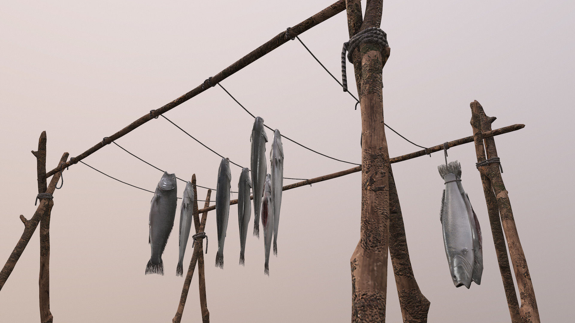 Fish Rack 3D model_2