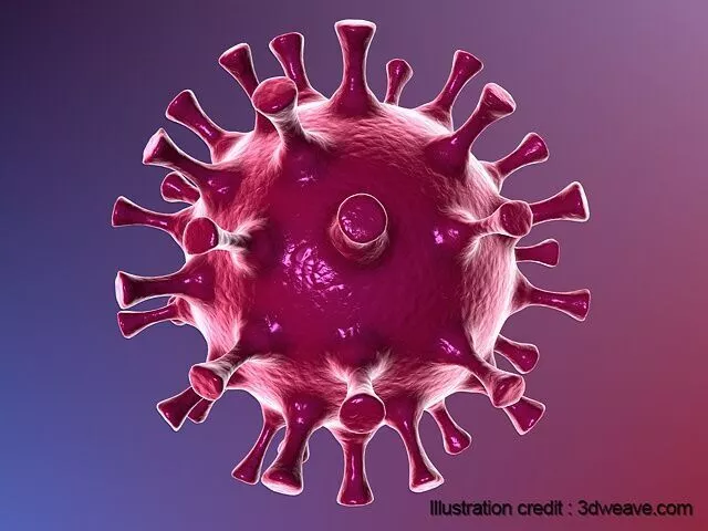 CoronaVirus Covid 19 3D model