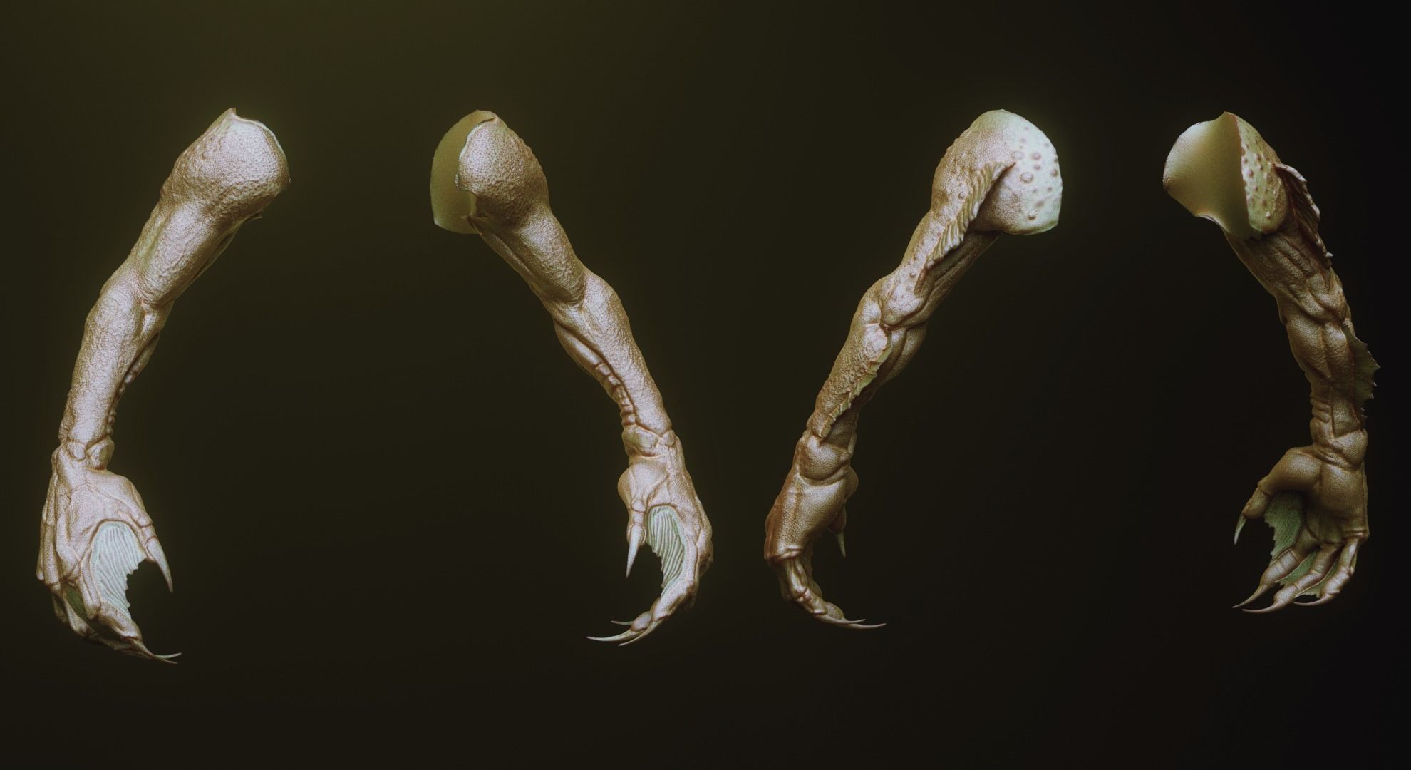 ARMS - 33 Creature arms OBJs and Zbrush IMM 3D model_12