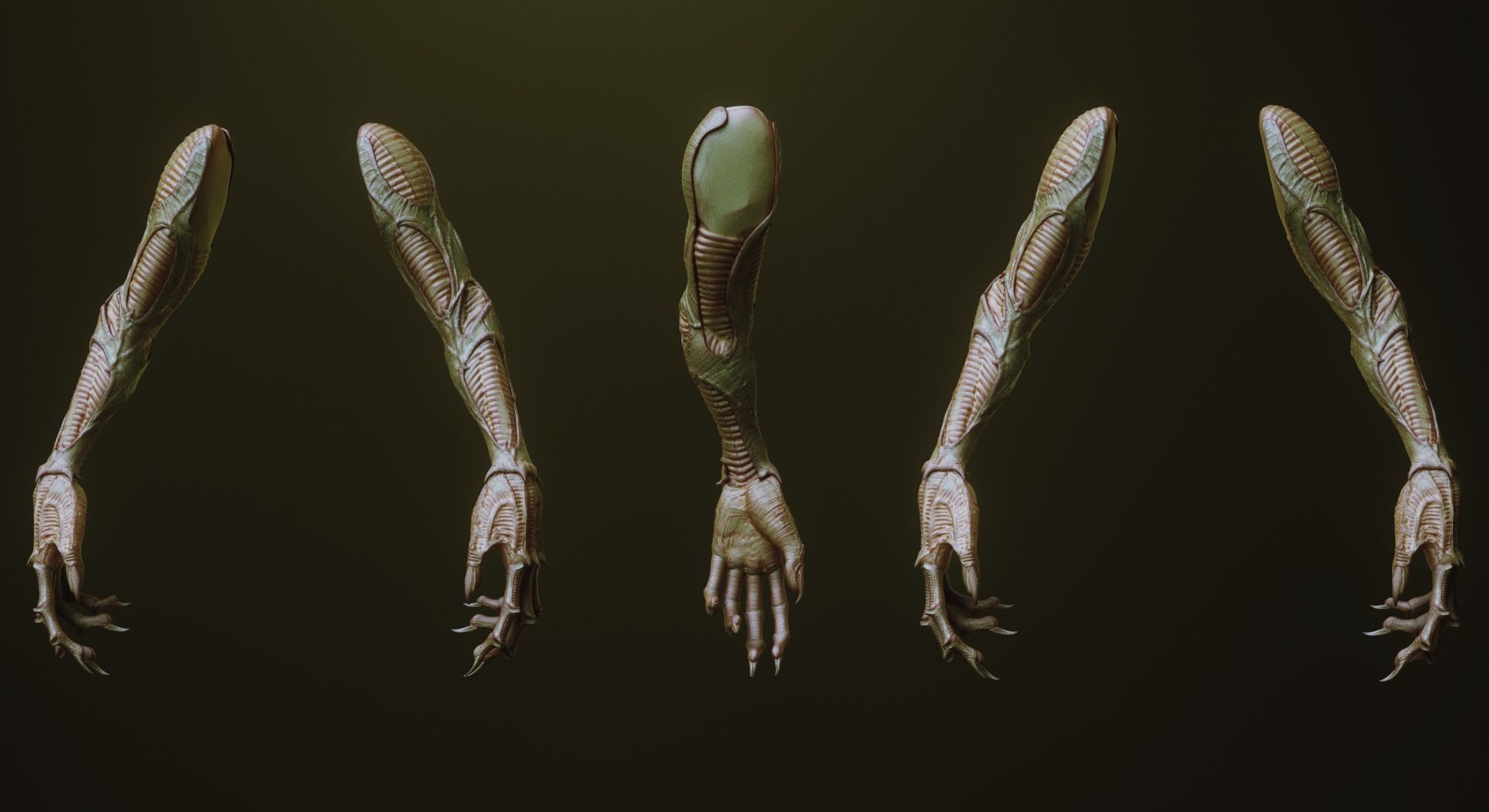 ARMS - 33 Creature arms OBJs and Zbrush IMM 3D model_40