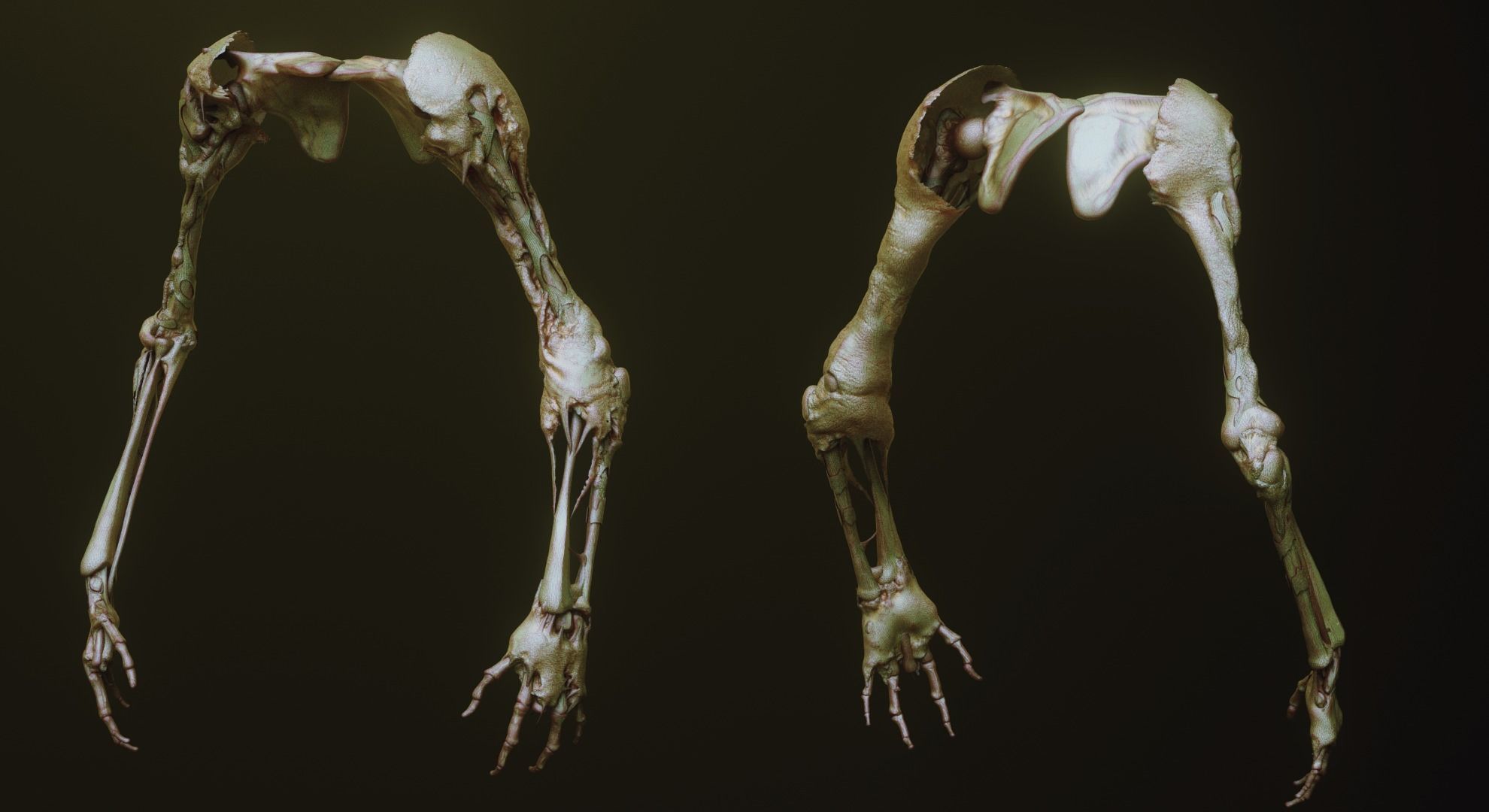 ARMS - 33 Creature arms OBJs and Zbrush IMM 3D model_33