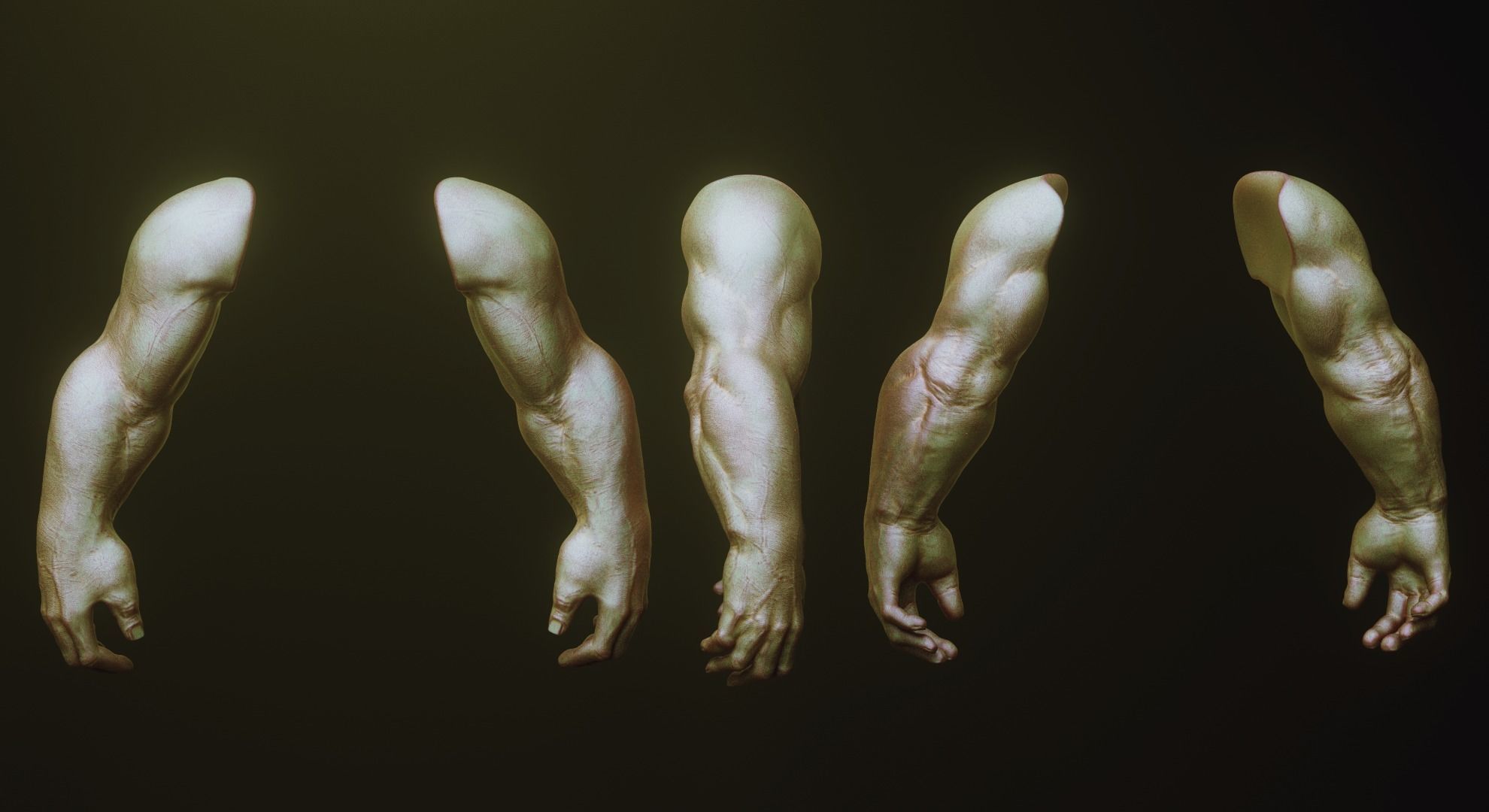 ARMS - 33 Creature arms OBJs and Zbrush IMM 3D model_35