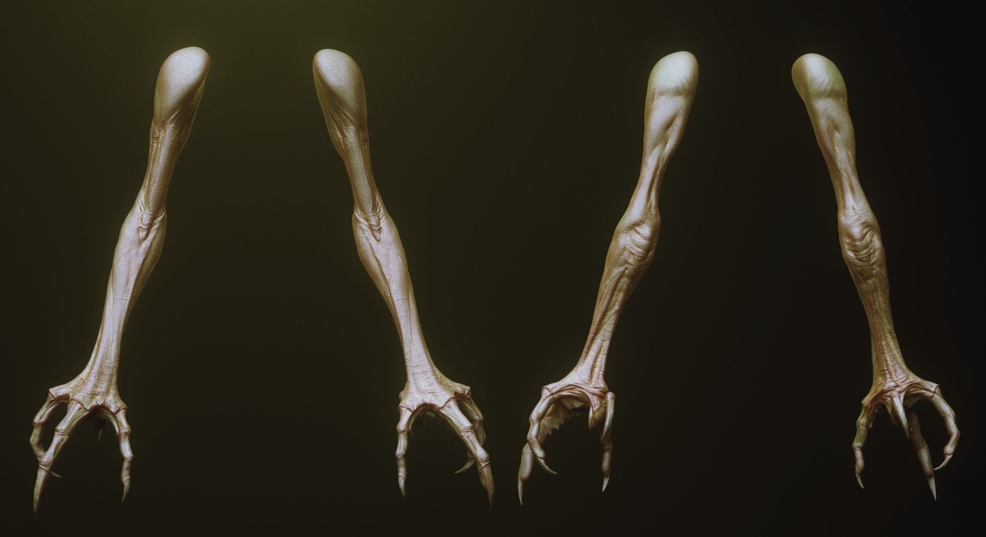 ARMS - 33 Creature arms OBJs and Zbrush IMM 3D model_10