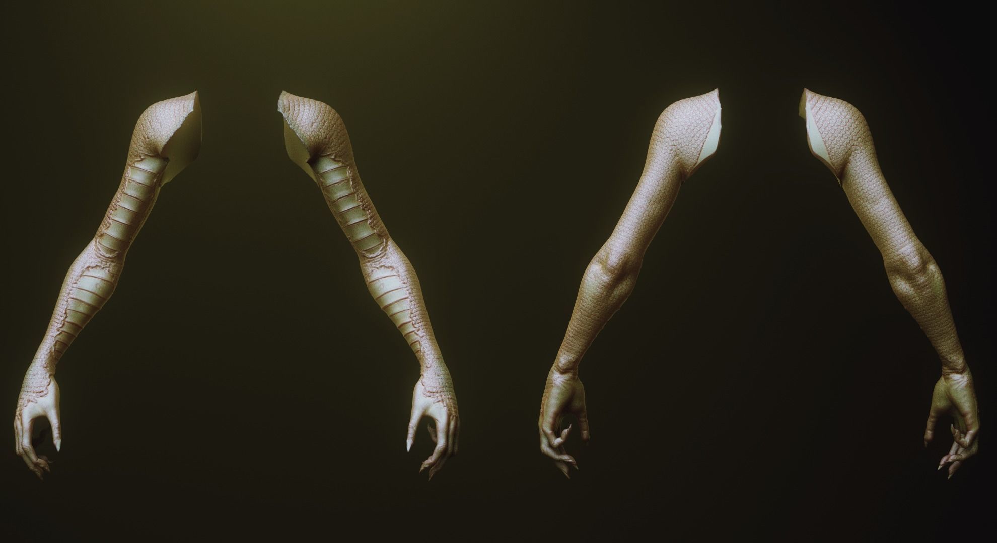 ARMS - 33 Creature arms OBJs and Zbrush IMM 3D model_39