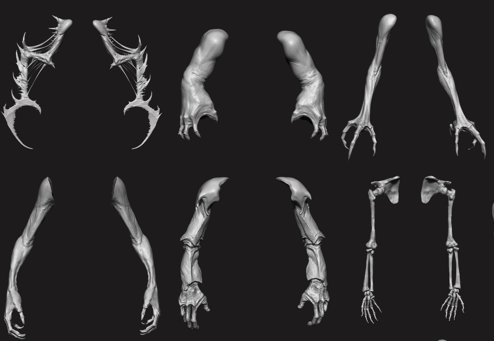 ARMS - 33 Creature arms OBJs and Zbrush IMM 3D model_51