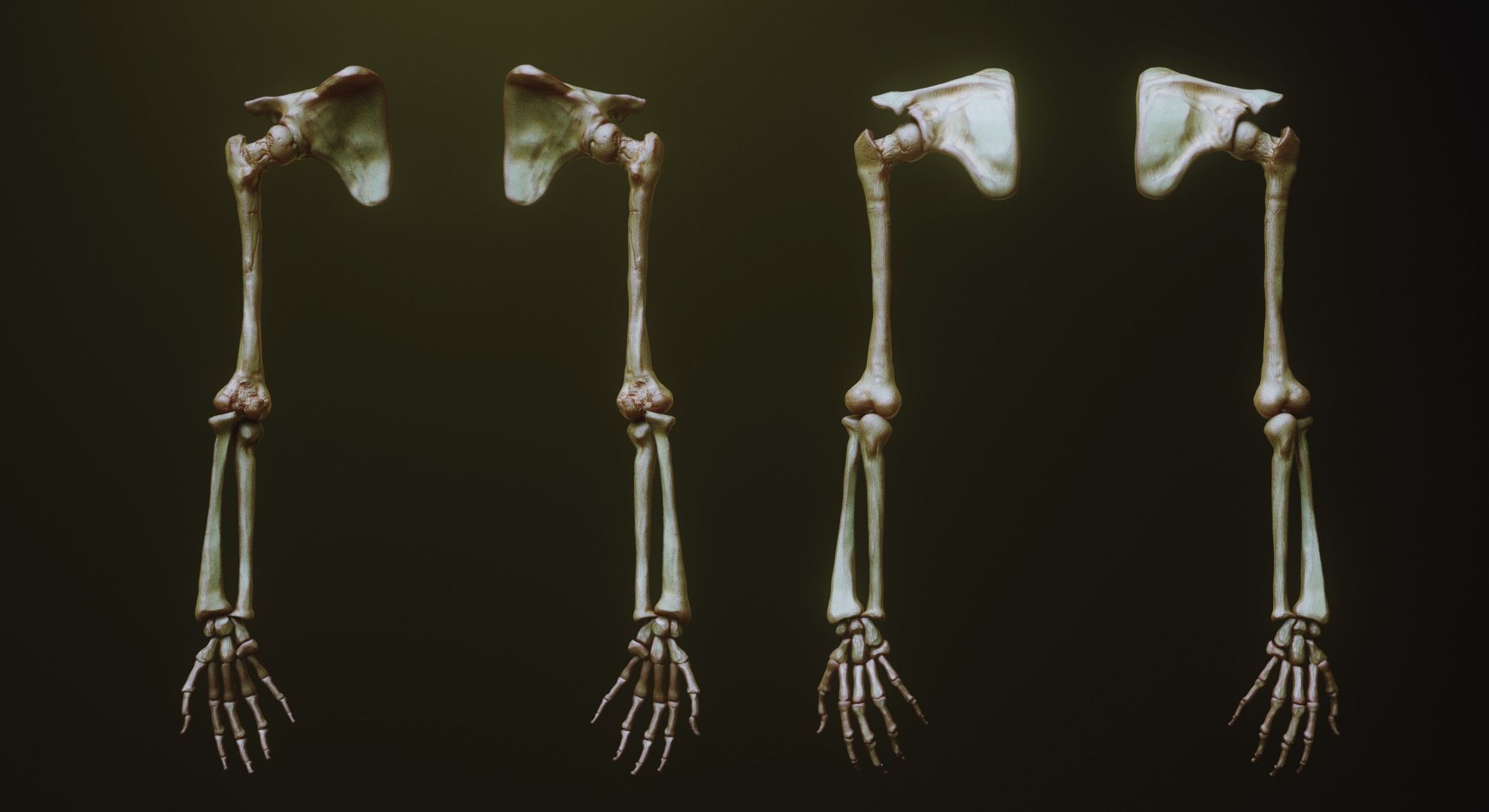 ARMS - 33 Creature arms OBJs and Zbrush IMM 3D model_19