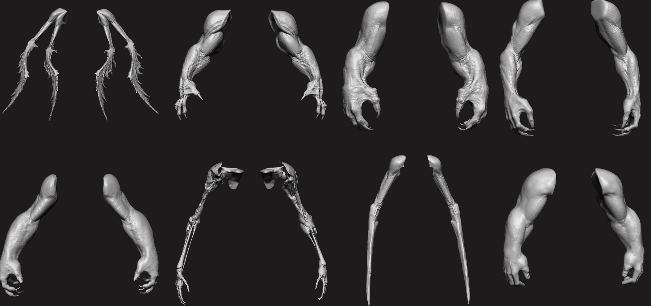ARMS - 33 Creature arms OBJs and Zbrush IMM 3D model_54