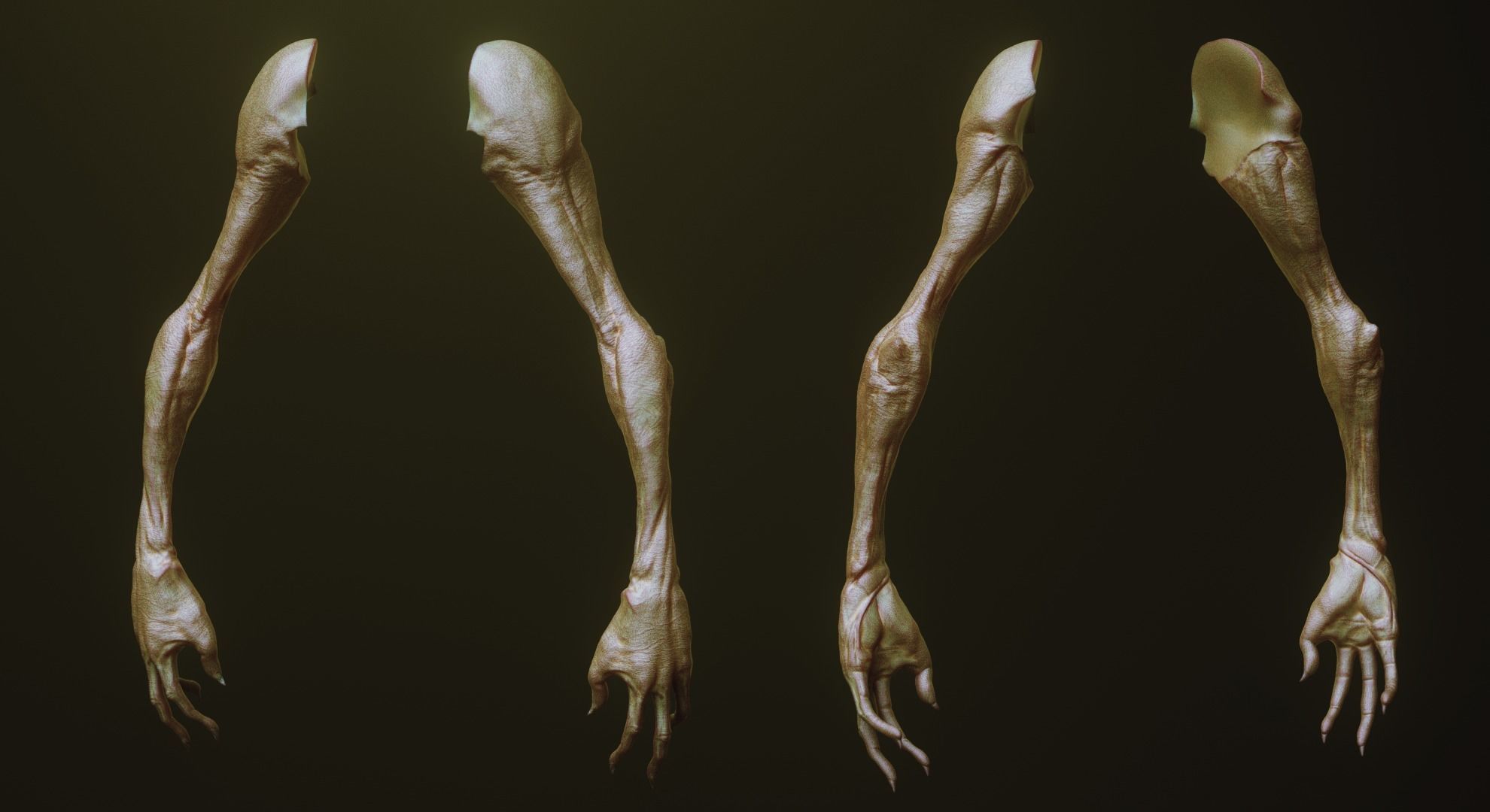 ARMS - 33 Creature arms OBJs and Zbrush IMM 3D model_43