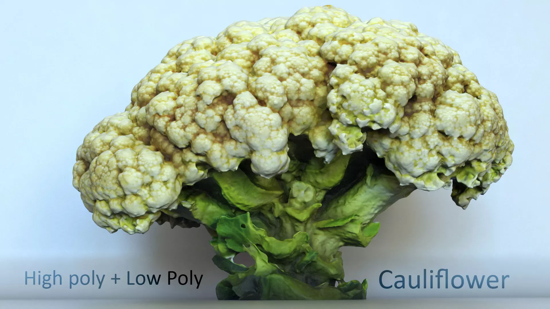 Cauliflower low and high poly Low-poly 3D model