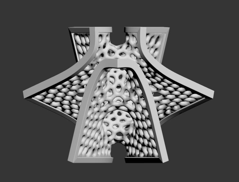 Voronoi Batwing Decor 3D print model_10